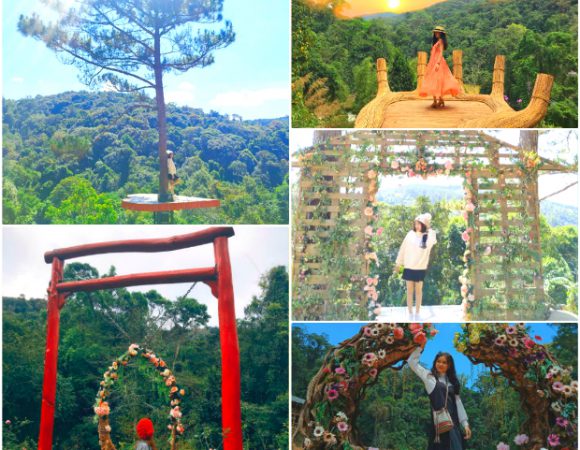 Hoa Sơn Điền Trang – Ốc đảo giữa lòng Đà Lạt